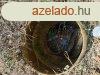 Elad 40 nm-es Feljtand Csaldi hz Aranyosgadny