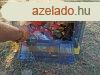 Origin Outdoors szervez sszecsukhat doboz 27 L