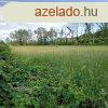 Befektetsi clra - Elad belterleti ptsi telek Balatonk