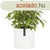 Fox & Fern Venlo, virgcserp, Polystone, beltr s klt