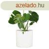 Fox & Fern Venlo, virgcserp, Polystone, beltr s klt