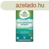 Tulsi PEPPERMINT REFRESH, filteres bio tea, 25 filter - Orga