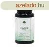 Q10 CoQ10 Koenzim 100mg 60 kapszula ? G&G