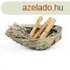 Abalone kagyl fstltl Palo Santoval s fehr zslyval  