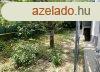Elad laks Budapest, XI. kerlet, 	Van egy Kk t a hz ala