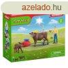 Schleich Tehnmos lloms