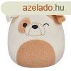 Squishmallows 20 cm - Brock a kacsints bulldog