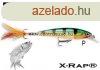 Rapala XR10 X-Rap 10cm 13g wobbler - P Sznben