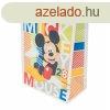 Disney ajndktasak - 23 x 18 cm, tbbfle