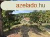 Solymr, 140 m2, 129900000 HUF, 4 szoba, 1 flszoba [2005_34