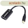 PremiumCord Adapter USB-C -> DisplayPort DP1.4 8K@60Hz / 4k@
