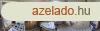 Elad 200 nm-es Kzepes llapot Csaldi hz Enying