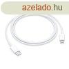 Apple USB-C to Lightning Cable (1m)