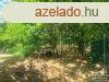 Elad ptsi telek Hdmezvsrhely   