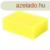 Tblaszivacs