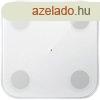Xiaomi Body Composition Scale S400