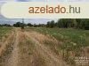 Szregi ptsi telek elad! - Szeged