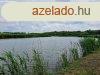 Halast elad Kzpbogrd kzelben - Lajoskomrom