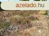 BALATON KZELI CSATORNZOTT PTSI TELEK SIFOK-SSTN! - S