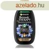 Garnier Tisztt sampon Botanic Therapy Magnetic Charcoal (B
