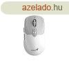 Genius NX-8080S BT Bluetooth + 2.4G fehr/szrke csendes eg