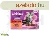 Whiskas alutasakos junior krmes klasszikus vlogats 12x85g