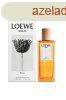 Loewe Solo Ella - EDT 100 ml