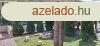 AKCIS RON 18 gyas vendghz Erdhorvtiban elad!