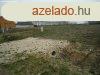 Elad Telek, Vaszar 5.500.000 Ft