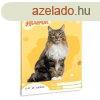 Fzet vonalas ARS UNA A/5 32 lapos 12-32 3. osztlyos Cuki-N