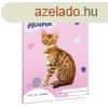 Fzet vonalas ARS UNA A/5 32 lapos 12-32 3. osztlyos Cuki-B