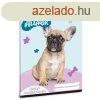 Leckefzet ARS UNA A/5 32 lapos Cuki-Francia bulldog