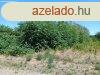 Elad Cegldi 2983 m2 ptsi telek.