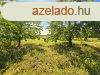 ELAD TELEK SZIGETCSPEN ? DUNAPARTTL PR LPSRE! 