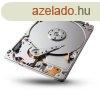 Epson Opci HDD 320 GB SCT3200/5200/7200