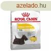 Royal Canin Mini Dermacomfort 8 kg