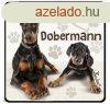 Kutys htmgnes, Dobermann