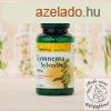 Vitaking Gymnema Sylvestre