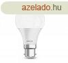 Astrum A120 LED izz 12W/80W B22 6000K hideg fehr