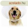 Erzsbet-kutya nyakrv (vdtlcsr) KVP Check tltsz (23-