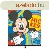 Disney napellenz rol - Mickey egr