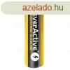 EverActive Industrial Alkaline R06 AA 1,5V