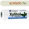 Xylitol rggumi borsmenta 30 db