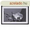 Vszon Orchidea 65 x 2 x 95 cm Virg MOST 42222 HELYETT 2843