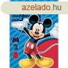 Disney Mickey polr takar