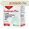 Dr.herz cordyceps plus+c-vitamin kapszula 60 db