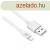 ACT AC3011 USB to Lightning charging/data cable 1m White