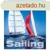 Falinaptr kpes 450  520 mm Sailing Dayliner 2024.