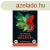 Choice bio fekete tea english breakfast 44 g