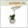 HOME DEKOR Orchidea paprcserpben 32 x 23 cm, fehr 6393501